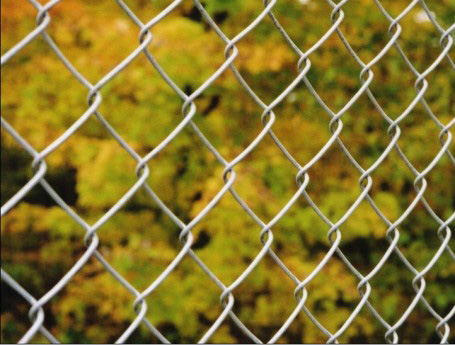 Greening Chain Link Fence