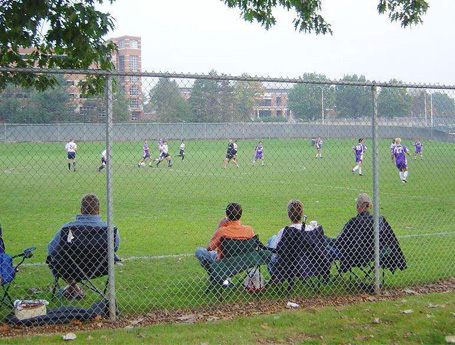 Chain Link Mesh Fence