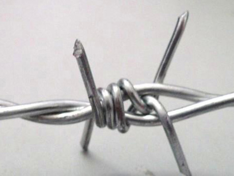 Double strand barbed wire